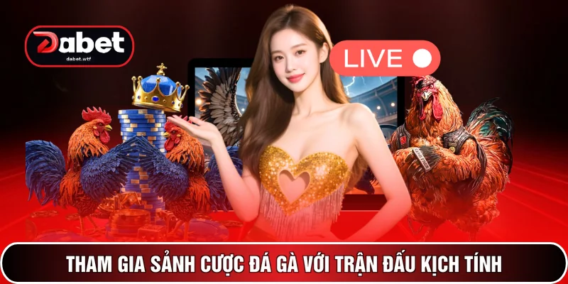 Review DABET 3 Tham gia sảnh cược đá gà với trận đấu kịch tính